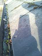 fkillineybeforeexternal 1145.jpg
